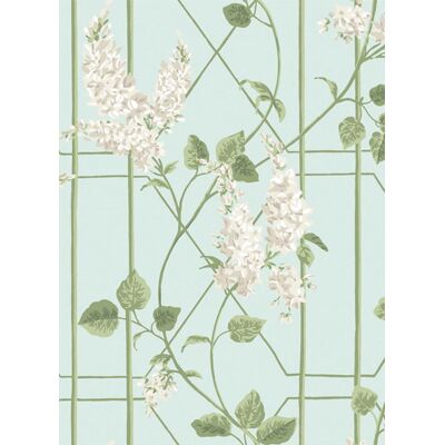 Cole & Son - Wisteria - Stone & Olive auf Eierschale - Tapete Cole & Son - Wisteria - Stone & Olive auf Eierschale - Tapete