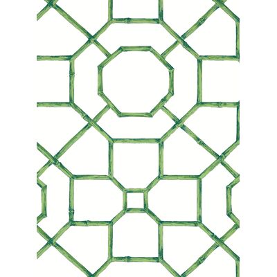 Thibaut Tapete Arbor - Emerald Thibaut Tapete Arbor - Emerald