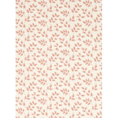 Sanderson Tapete Tomato Leaf - Pink Clay Sanderson Tapete Tomato Leaf - Pink Clay