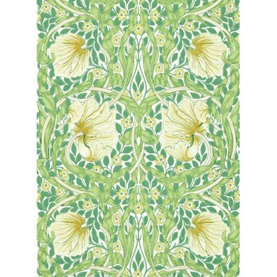 Morris & Co Pimpernel Tapete - Wanddekoration Morris & Co Pimpernel Tapete - Wanddekoration