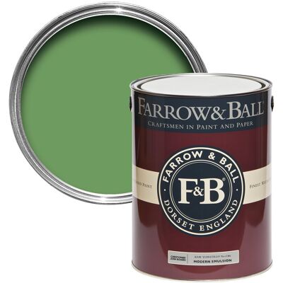 Farrow & Ball Raw Tomatillo CB6 5L Wandfarbe Farrow & Ball Raw Tomatillo CB6 5L Wandfarbe