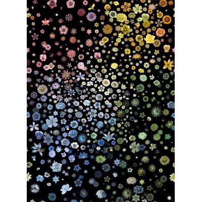 Christian Lacroix Tapete Jardin des Hesperides - Multicolore Christian Lacroix Tapete Jardin des Hesperides - Multicolore