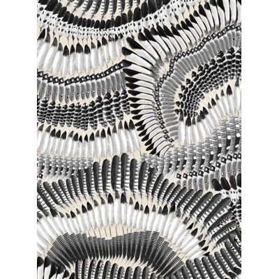 Christian Lacroix Tapete Prete Moi Ta Plume - Jais Christian Lacroix Tapete Prete Moi Ta Plume - Jais