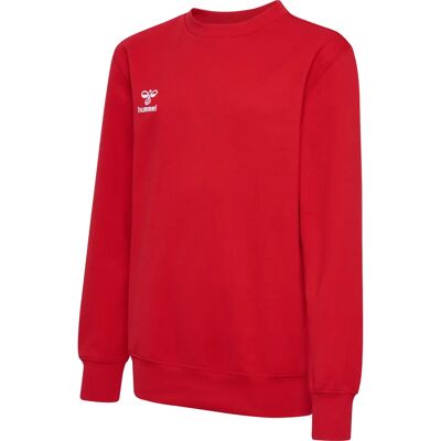 Pullover Kind Hummel Go 2.0 Rouge 10 ans unisex Pullover Kind Hummel Go 2.0 Rouge 10 ans unisex