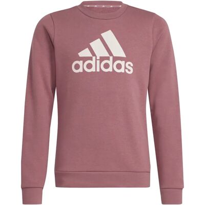 Pullover Mädchen adidas Essentials Big Logo Rose 7/8 ans female Pullover Mädchen adidas Essentials Big Logo Rose 7/8 ans female
