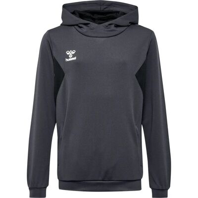 Polyester-Hoodie Kind Hummel Authentic Gris 6 ans unisex Polyester-Hoodie Kind Hummel Authentic Gris 6 ans unisex