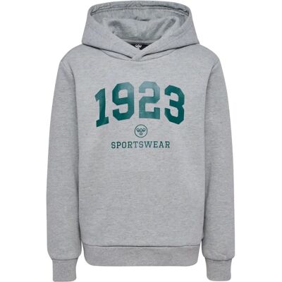 Jungen Kapuzenpullover Hummel hmlNIPPS Gris 5 ans male Jungen Kapuzenpullover Hummel hmlNIPPS Gris 5 ans male