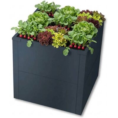 Metzler Hochbeet S für den Garten oder Balkon Anthrazitgrau 50 x 50 x 50 cm Metzler Hochbeet S für den Garten oder Balkon Anthrazitgrau 50 x 50 x 50 cm