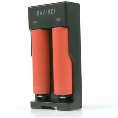DaVinci IQ/MIQRO - Batterieladegerät DaVinci IQ/MIQRO - Batterieladegerät