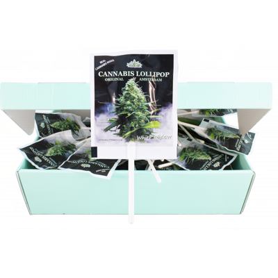 Multitrance HaZe Cannabis White Widow Lutscher – Displaybox (100 Lutscher), 1200 g Multitrance HaZe Cannabis White Widow Lutscher – Displaybox (100 Lutscher), 1200 g