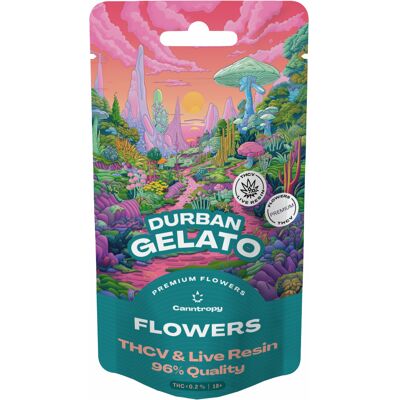 Canntropy Durban Gelato THCV Blume - Industriehanf Produkt Canntropy Durban Gelato THCV Blume - Industriehanf Produkt