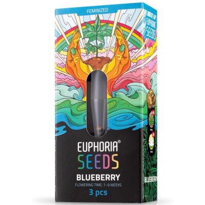 Euphoria Samen Blaubeere Feminisierte Euphoria Samen Blaubeere Feminisierte