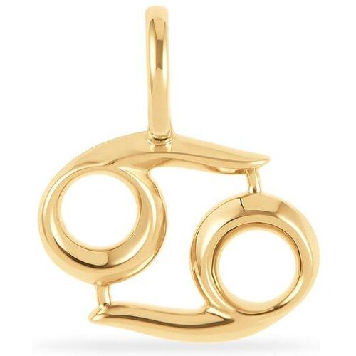 FAVS. FAVS Anhänger 88572327