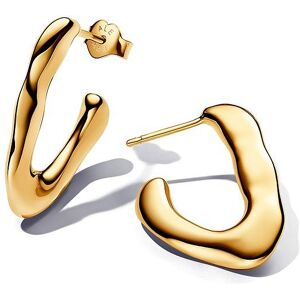 Pandora Creolen Essence 263290C00 Pandora Creolen Essence 263290C00