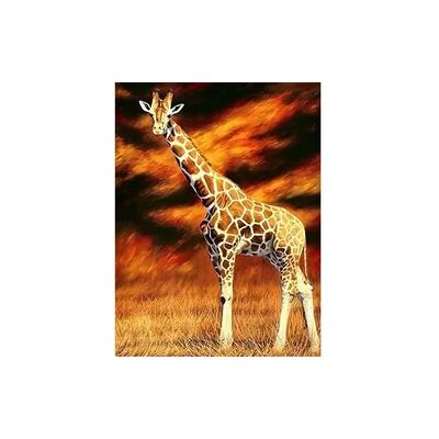 PRACHT Diamond Painting Giraffe 40x30cm PRACHT Diamond Painting Giraffe 40x30cm