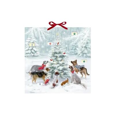 Coppenrath Verlag Zettel-Adventskalender - Weihnachten auf vier Pfoten Coppenrath Verlag Zettel-Adventskalender - Weihnachten auf vier Pfoten