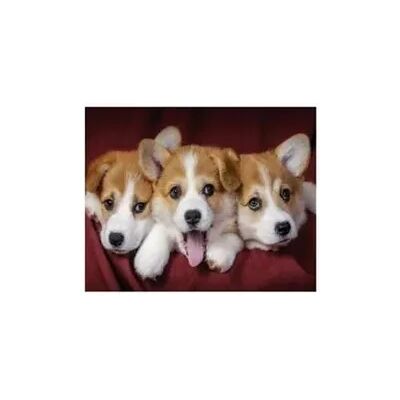 PRACHT Diamond Painting Hundebabys 40x30cm PRACHT Diamond Painting Hundebabys 40x30cm