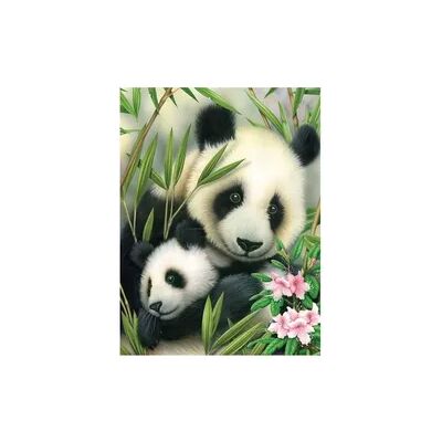 PRACHT Malen nach Zahlen Junior Panda 33x24cm PRACHT Malen nach Zahlen Junior Panda 33x24cm