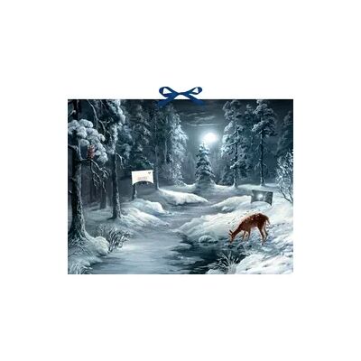 Coppenrath Verlag Liegt nun so still die weite Welt, Zettel-Adventskalender Coppenrath Verlag Liegt nun so still die weite Welt, Zettel-Adventskalender