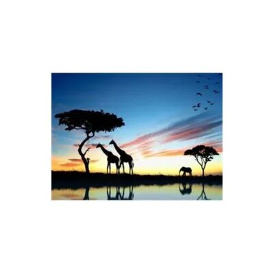 PRACHT Diamond Painting Afrika 50x40cm PRACHT Diamond Painting Afrika 50x40cm