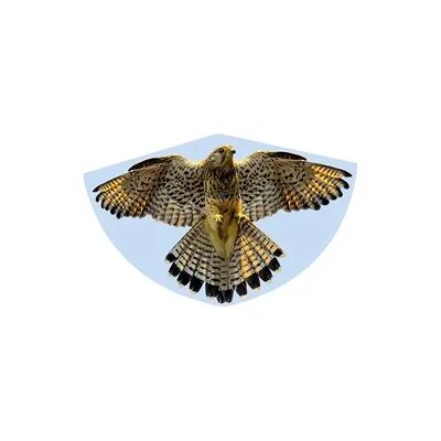 Paul Günther 1230 - Kinderdrachen Falke, Einleiner-Drachen, 92x62 cm Paul Günther 1230 - Kinderdrachen Falke, Einleiner-Drachen, 92x62 cm