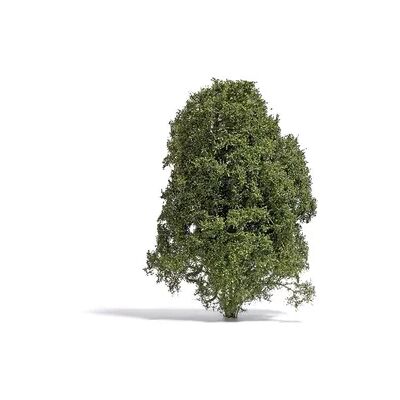 Busch Buisson Grün - Weihnachtsdeko Busch Buisson Grün - Weihnachtsdeko