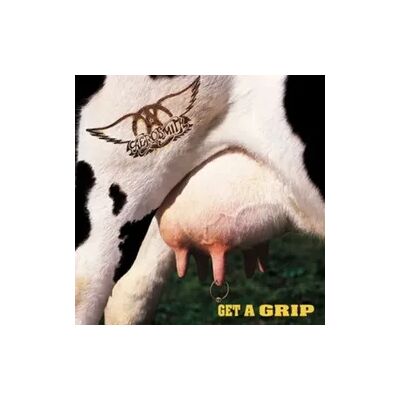 Universal Music Vertrieb - A Division of Universal Music GmbH Get A Grip (2 LP) Universal Music Vertrieb - A Division of Universal Music GmbH Get A Grip (2 LP)
