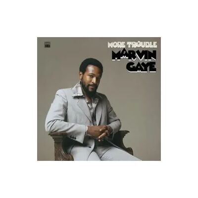 Universal Music Vertrieb - A Division of Universal Music GmbH More Trouble (Vinyl) Universal Music Vertrieb - A Division of Universal Music GmbH More Trouble (Vinyl)
