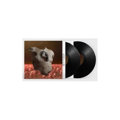 Rough Trade Torso (2LP) Rough Trade Torso (2LP)
