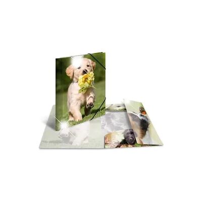 Herma Sammelmappe A4 Tiere - Hunde Herma Sammelmappe A4 Tiere - Hunde
