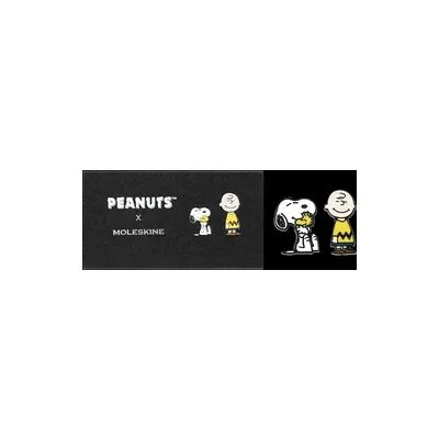 Moleskine Peanuts Pins Moleskine Peanuts Pins