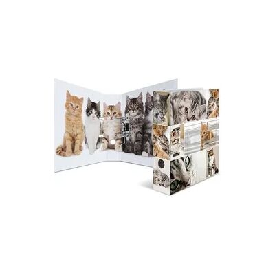 Herma Motiv-Ordner A4 Animals Katzen Herma Motiv-Ordner A4 Animals Katzen