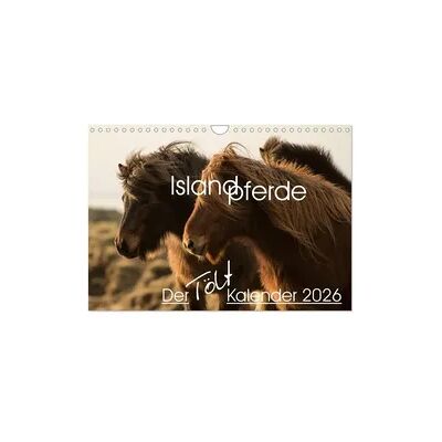 Islandpferde - Der Tölt Kalender (Wandkalender 2026 DIN A4 quer), CALVENDO Monatskalender Islandpferde - Der Tölt Kalender (Wandkalender 2026 DIN A4 quer), CALVENDO Monatskalender