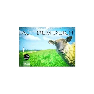 AUF DEM DEICH (Wandkalender 2026 DIN A4 quer), CALVENDO Monatskalender AUF DEM DEICH (Wandkalender 2026 DIN A4 quer), CALVENDO Monatskalender