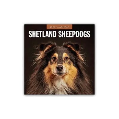 Brown Trout-Auslieferer Flechsig Shetland Sheepdogs – Sheltie 2026 – 16-Monatskalender Brown Trout-Auslieferer Flechsig Shetland Sheepdogs – Sheltie 2026 – 16-Monatskalender