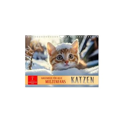 Katzen - Kalender für alle Miezenfans (Wandkalender 2026 DIN A4 quer), CALVENDO Monatskalender Katzen - Kalender für alle Miezenfans (Wandkalender 2026 DIN A4 quer), CALVENDO Monatskalender