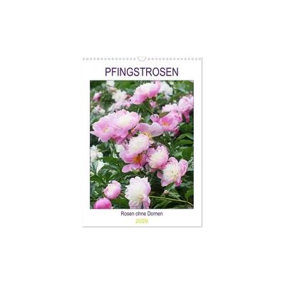 Pfingstrosen Rosen ohne Dornen (Wandkalender 2026 DIN A3 hoch), CALVENDO Monatskalender Pfingstrosen Rosen ohne Dornen (Wandkalender 2026 DIN A3 hoch), CALVENDO Monatskalender