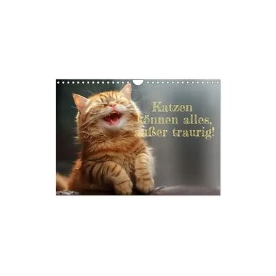 Katzen können alles, außer traurig. (Wandkalender 2026 DIN A4 quer), CALVENDO Monatskalender Katzen können alles, außer traurig. (Wandkalender 2026 DIN A4 quer), CALVENDO Monatskalender