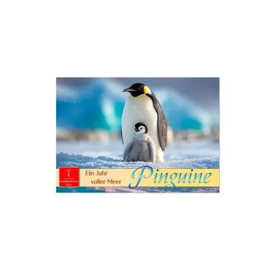 Pinguine - ein Jahr voller Meer (Tischkalender 2026 DIN A5 quer), CALVENDO Monatskalender Pinguine - ein Jahr voller Meer (Tischkalender 2026 DIN A5 quer), CALVENDO Monatskalender