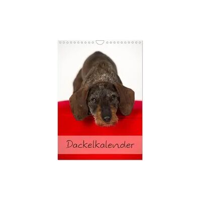 Dackel (Wandkalender 2026 DIN A4 hoch), CALVENDO Monatskalender Dackel (Wandkalender 2026 DIN A4 hoch), CALVENDO Monatskalender