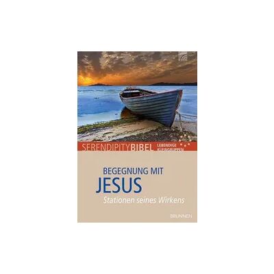 Brunnen Verlag Gießen Begegnung mit Jesus Brunnen Verlag Gießen Begegnung mit Jesus