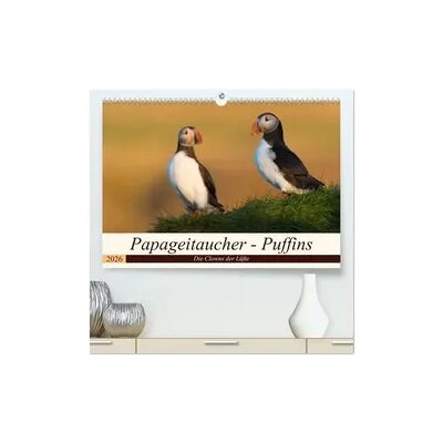 Calvendo Papageitaucher - Puffins (hochwertiger Premium Wandkalender 2026 DIN A2 quer), Kunstdruck in Hochglanz Calvendo Papageitaucher - Puffins (hochwertiger Premium Wandkalender 2026 DIN A2 quer), Kunstdruck in Hochglanz