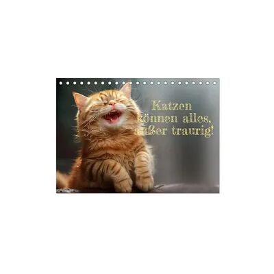Katzen können alles, außer traurig. (Tischkalender 2026 DIN A5 quer), CALVENDO Monatskalender Katzen können alles, außer traurig. (Tischkalender 2026 DIN A5 quer), CALVENDO Monatskalender