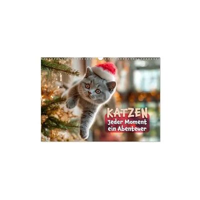 Katzen - Jeder Moment ein Abenteuer (Wandkalender 2027 DIN A3 quer), CALVENDO Monatskalender Katzen - Jeder Moment ein Abenteuer (Wandkalender 2027 DIN A3 quer), CALVENDO Monatskalender