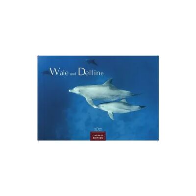 ART Wale und Delfine Kalender 2027 – Wandkalender Fotokalender Tierkalender 35x50cm Grosses Format - Hochwertige Fotografien von Walen und Delfinen, die jeden Monat begeistern. ART Wale und Delfine Kalender 2027 – Wandkalender Fotokalender Tierkalender 35x50cm Grosses Format - Hochwertige Fotografien von Walen und Delfinen, die jeden Monat begeistern.