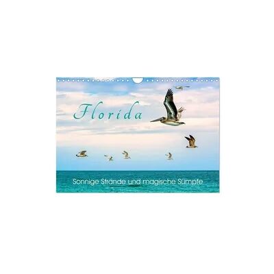 Florida - Sonnige Strände und magische Sümpfe (Wandkalender 2026 DIN A4 quer), CALVENDO Monatskalender Florida - Sonnige Strände und magische Sümpfe (Wandkalender 2026 DIN A4 quer), CALVENDO Monatskalender