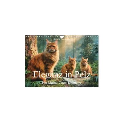 Eleganz in Pelz - ein Maine Coon - Kalender (Wandkalender 2027 DIN A4 quer), CALVENDO Monatskalender Eleganz in Pelz - ein Maine Coon - Kalender (Wandkalender 2027 DIN A4 quer), CALVENDO Monatskalender
