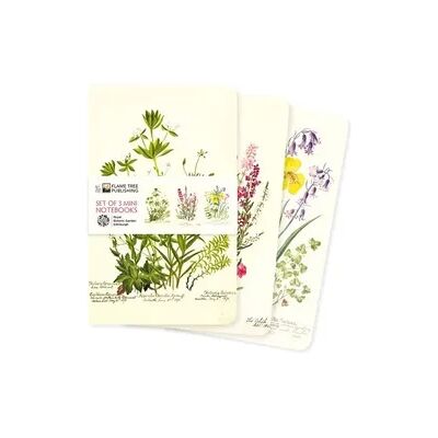 Browntrout Dreier Set Mini-Notizbücher: Royal Botanic Garden Edinburgh Browntrout Dreier Set Mini-Notizbücher: Royal Botanic Garden Edinburgh