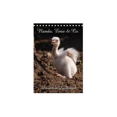 Nandu, Emu & Co. (Tischkalender 2026 DIN A5 hoch), CALVENDO Monatskalender Nandu, Emu & Co. (Tischkalender 2026 DIN A5 hoch), CALVENDO Monatskalender