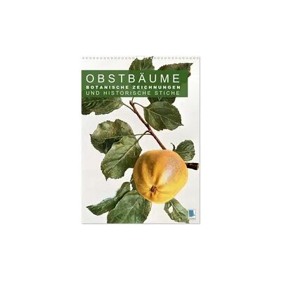 Obstbäume: Botanische Zeichnungen und historische Stiche (Wandkalender 2026 DIN A3 hoch), CALVENDO Monatskalender Obstbäume: Botanische Zeichnungen und historische Stiche (Wandkalender 2026 DIN A3 hoch), CALVENDO Monatskalender